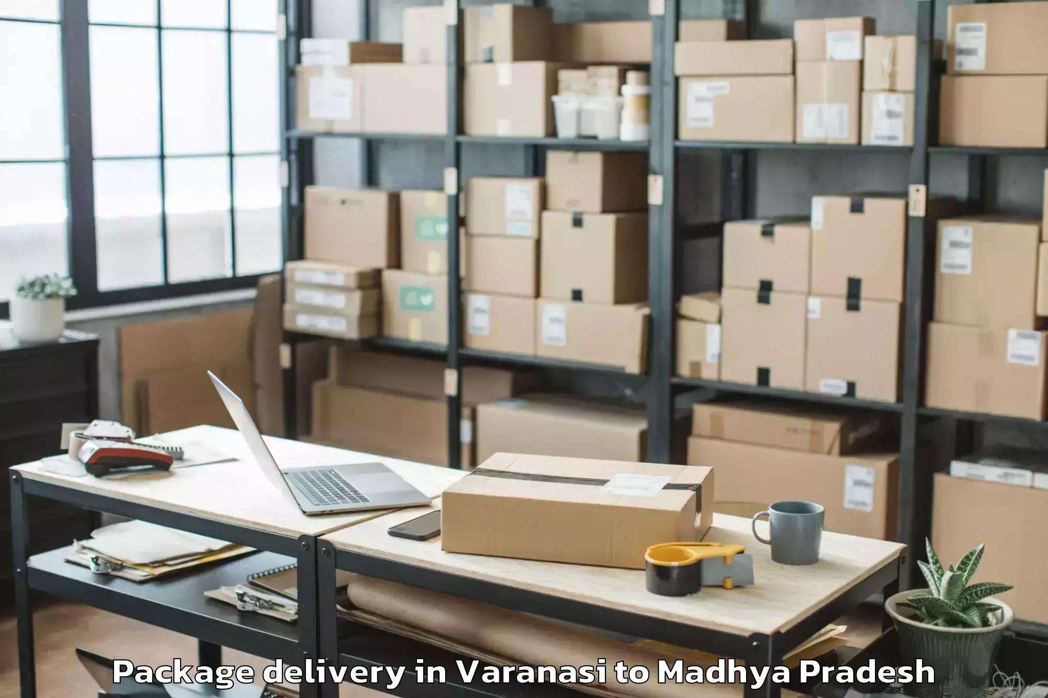 Top Varanasi to Ashoknagar Package Delivery Available